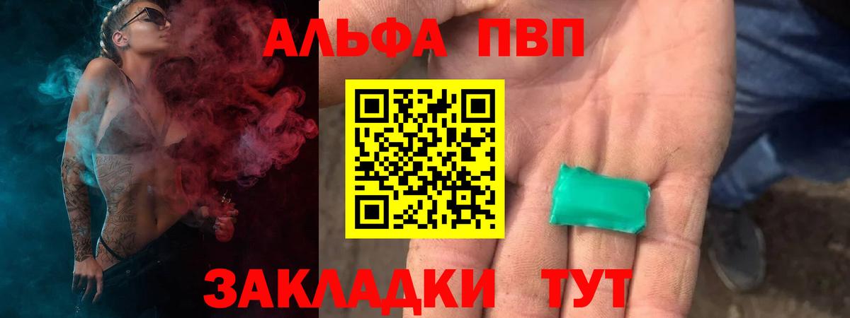 Alfa_PVP СК КРИС Череповец