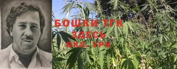 PSILOCYBIN Абаза