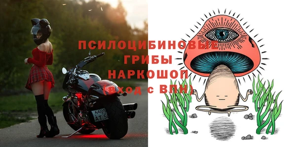 PSILOCYBIN Абаза