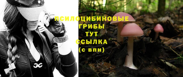 PSILOCYBIN Абаза
