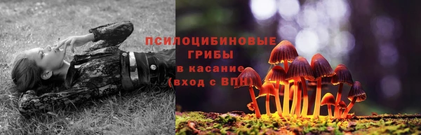 PSILOCYBIN Абаза