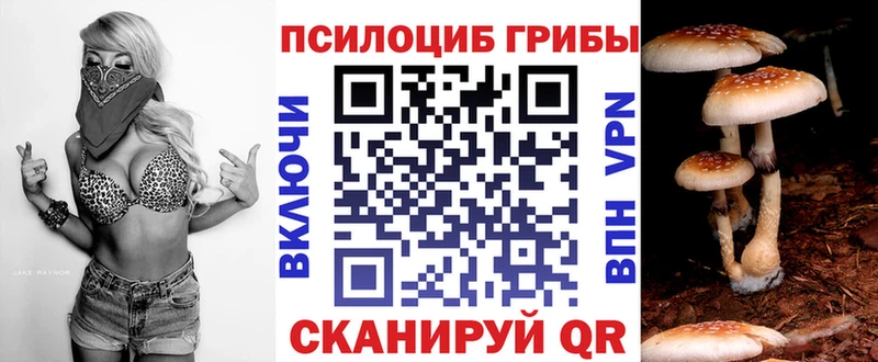 ОМГ ОМГ зеркало  купить наркотики сайты  Череповец  Псилоцибиновые грибы Cubensis 