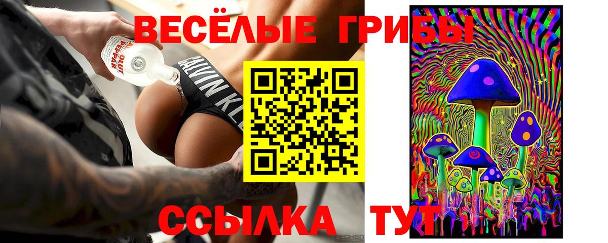 купить наркотики сайты  Псилоцибиновые грибы мицелий  Вход с VPN  Череповец 