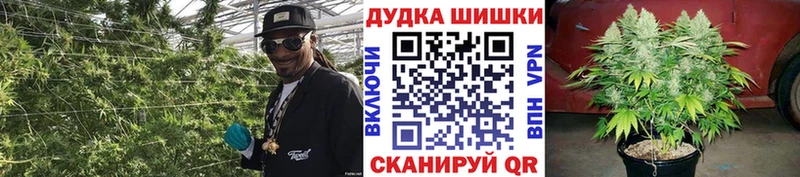 Канабис OG Kush  гидра зеркало  маркетплейс формула  что такое наркотик  Череповец 
